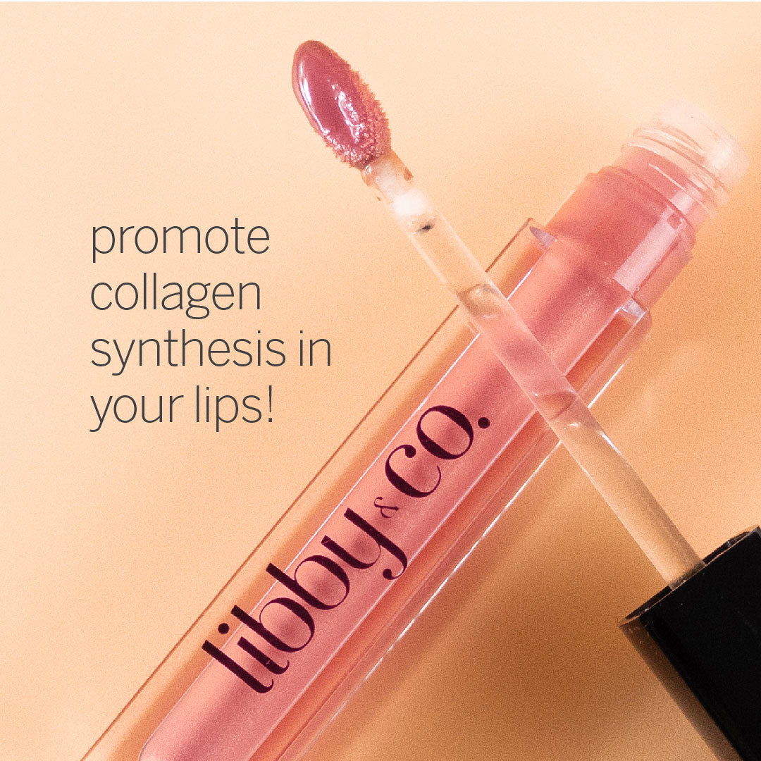 Plumping Lip Gloss (Mauve Pout)