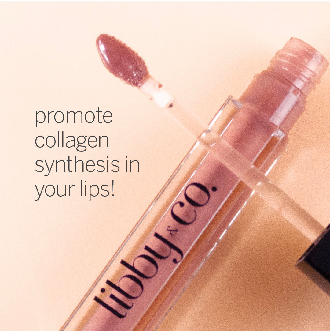 Plumping Lip Gloss (Nude Pout)