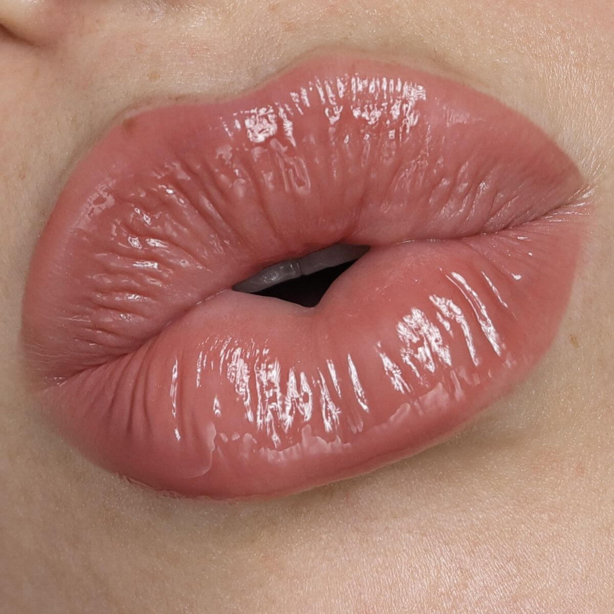 Plumping Lip Gloss (Mauve Pout)